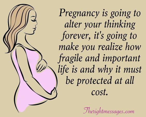 Pregnancy is going to alter Pregnancy Quote
