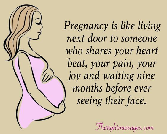 Pregnancy is like living next door Pregnancy Quote